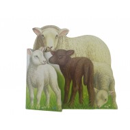 Αρνάκια χαρούμενα!